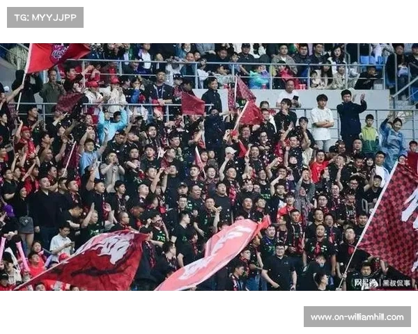 宁波总决赛吸引全国球迷热情参与赛事火爆各地观众热度高